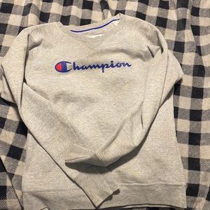 Champions Sweater. Size M. Color Grey